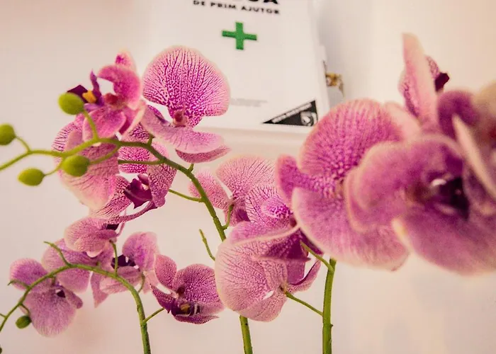 Red Riviera Suite&lake Cluj-Napoca